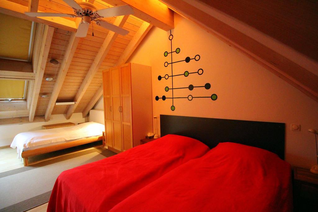 Studio A Am Burgberg Эрланген Экстерьер фото